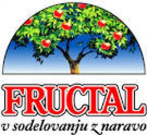 fructal_logo