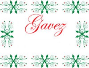 gavez_logo