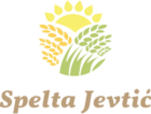 logo_jevtic