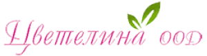 tzvetelina-logo-255x70
